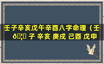 壬子辛亥戊午辛酉八字命理（壬 🦄 子 辛亥 庚戌 己酉 戊申 丁未）